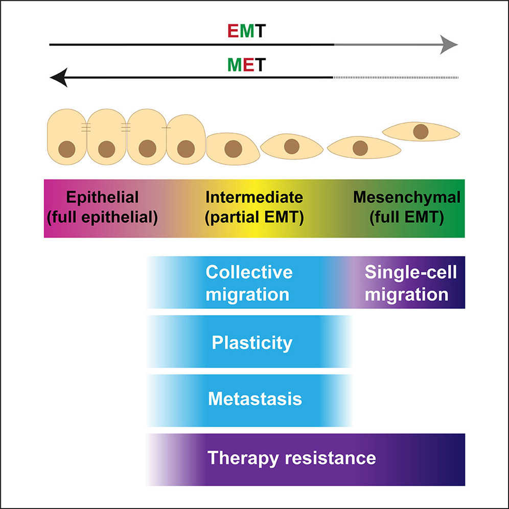 графабстракт большой.jpg
