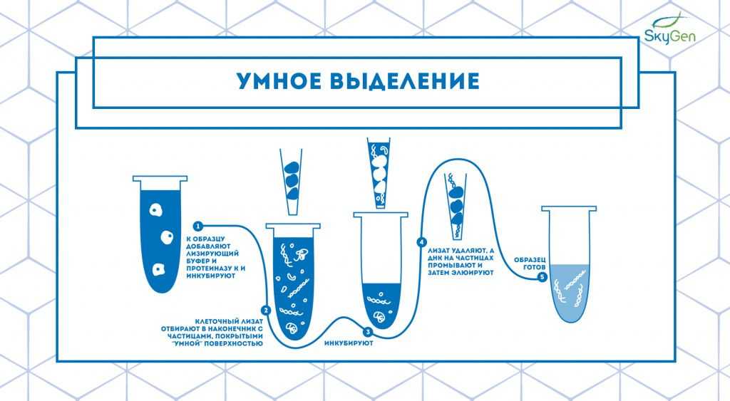 Рис.4 Схема протокола умного выделения. Протокол основан на принципе работы наборов для выделения компании Analytik Jena..jpg