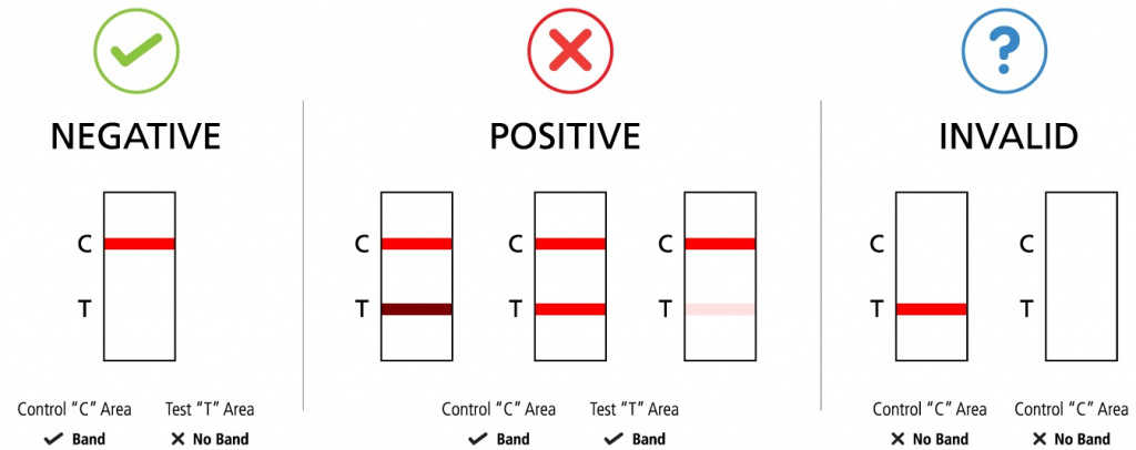 strip-test-results-3 жпг.jpg